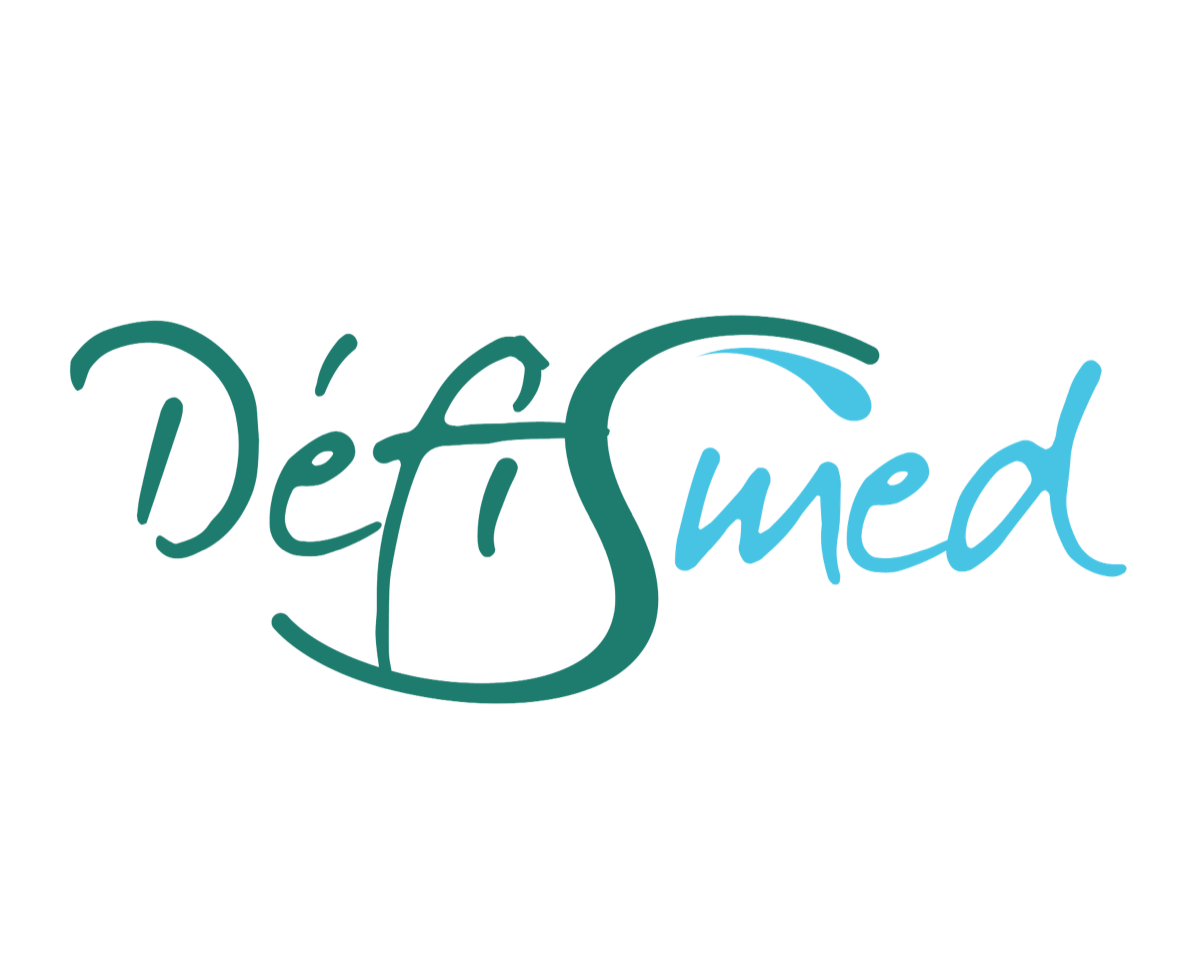 Defismed Logo
